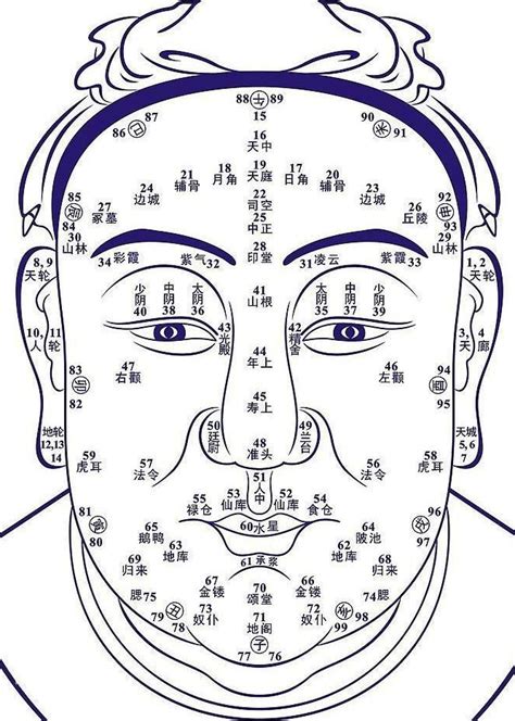 看相算命|面相算命图解，看面相算命，免费算命面相